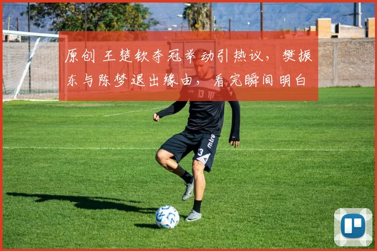 原创 王楚钦夺冠举动引热议，樊振东与陈梦退出缘由，看完瞬间明白
