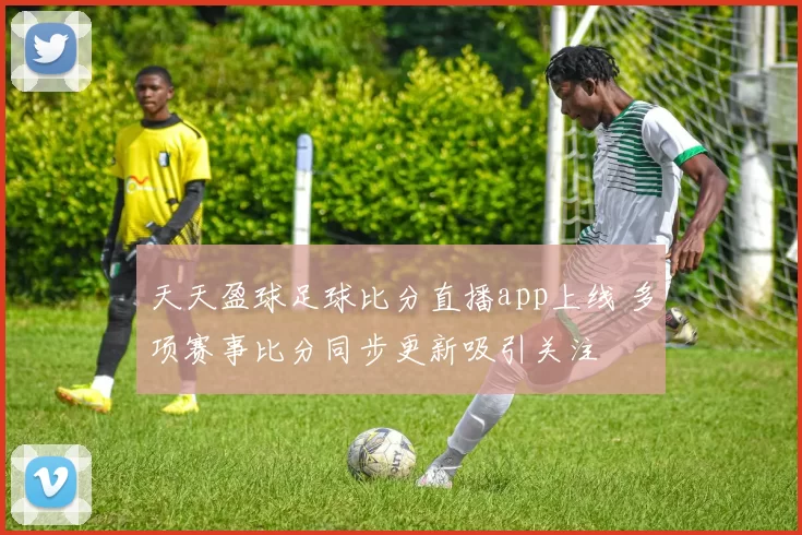 天天盈球足球比分直播app上线 多项赛事比分同步更新吸引关注