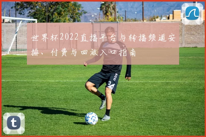 世界杯2022直播平台与转播频道安排、付费与回放入口指南