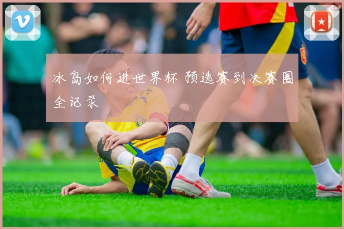 冰岛如何进世界杯 预选赛到决赛圈全记录