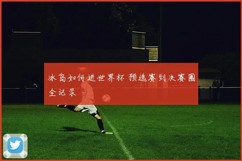 冰岛如何进世界杯 预选赛到决赛圈全记录