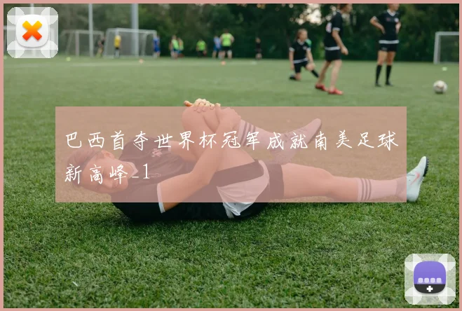 巴西首夺世界杯冠军成就南美足球新高峰_1